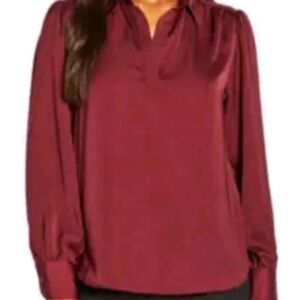 New! Banana Republic Long Sleeve Satin Pullover